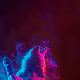 ���, �������, 26 ���