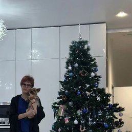 ��������, �����-���������, 27 ���