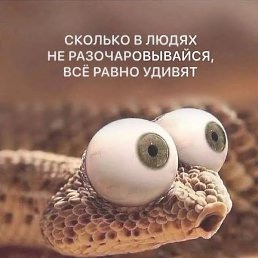 ���, ���������, 30 ���