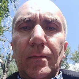 ����, ������������, 44 ����