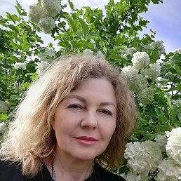 , 49, 