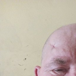 ��������, �������, 66 ���