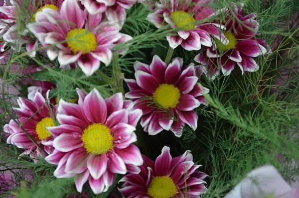 ������ ������� - 22 ������� 2025 � 01:07