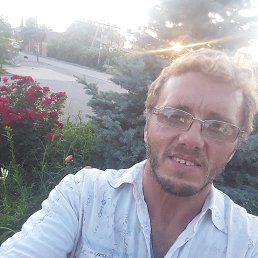 , 44, 
