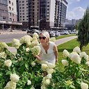 ���� ����, �������, 50 ��� - ��������� 25 ��� 2025 � ������ ���� ����������