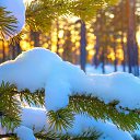 ���� ����, �����-���������, 40 ��� - ��������� 21 ������� 2023 � ������ ������ ��������