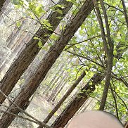 �����, 34 ����, ���������