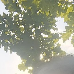 �����, �����, 31 ���