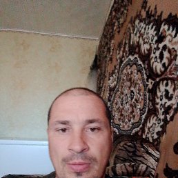 ������, 36 ���, ���������