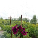 ���� ������, �������-���������, 61 ��� - ��������� 27 ���� 2025 � ������ ������ ��������