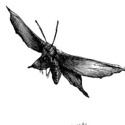 ���� �������, �������������, 27 ��� - ��������� 29 ������ 2024