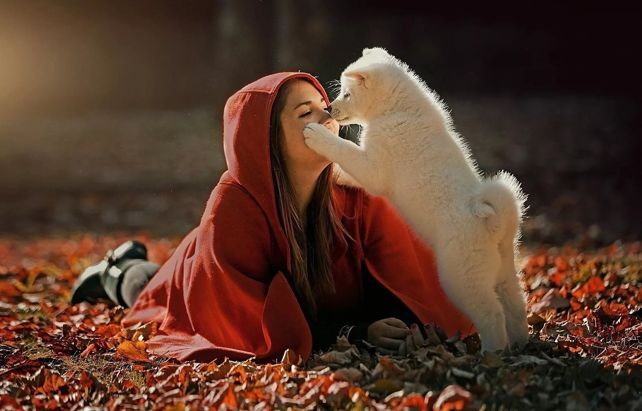 �� ���������� ����������� ��������, ������ �����, ��������� ������ � ����������� �������.