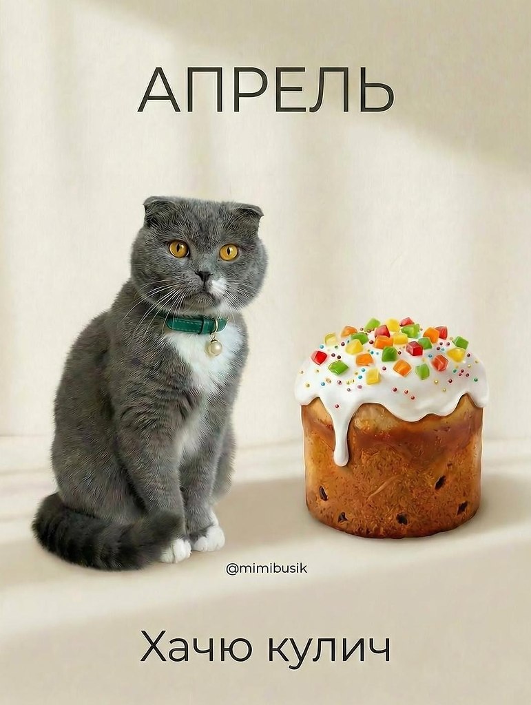�����������������y�� - 2