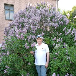 ������, ������, 58 ���