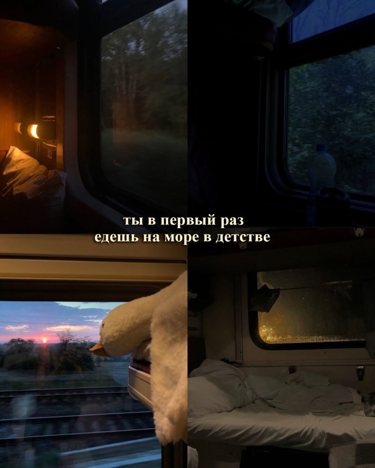    ... - 5