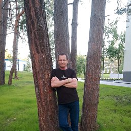 , 61, 