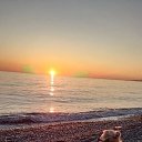 ���� �����, ������, 52 ���� - ��������� 30 ��� 2026 � ������ ���� ����������
