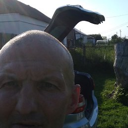 �����, ���������, 52 ����