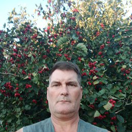 , 51 , 