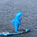 ���� �����, ���������, 37 ��� - ��������� 30 ������� 2026 � ������ ���� ����������