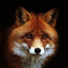 ������, ������������, 47 ���