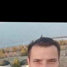 , 40, 
