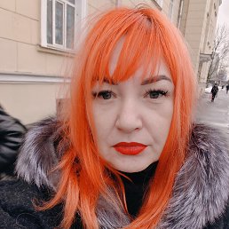 ���� �����, �����-���������, 49 ��� - ��������� 4 ������ 2026