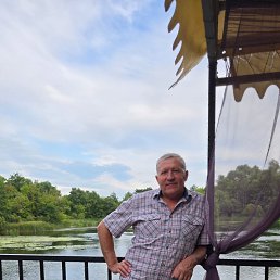 , 61, 