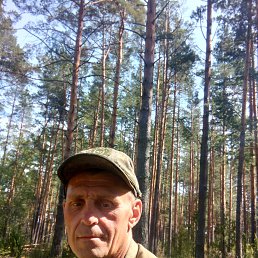 ����, 49 ���, ������