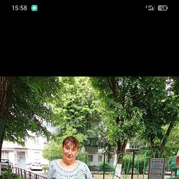 ���� �����, ���������, 64 ���� - ��������� 9 ������� 2024