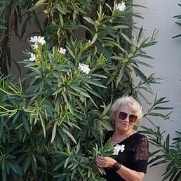 ���������, �������