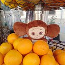 ���� �����, ������������ - ��������� 15 ����� 2025 � ������ �������� ���, ���������-�������� � ���������-��������