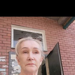 , 66, 