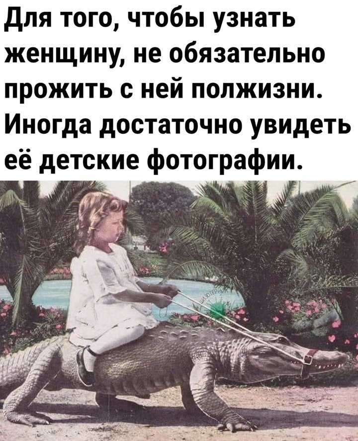  - 28  2024  11:17
