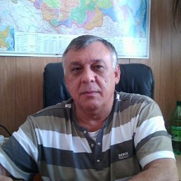 , 61, 
