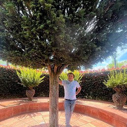 ������, 56 ���, �����