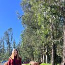 ���� �����, ���, 29 ��� - ��������� 3 ������ 2026