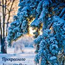 ���� ��������, ����� - ��������� 13 ������ 2024 � ������ ���� ����������