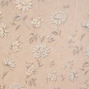 �����, 60 ���, ������