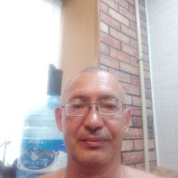 , 51 , --