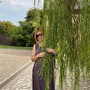 ���� ����, �������, 41 ��� - ��������� 24 ������� 2025 � ������ ���� ����������