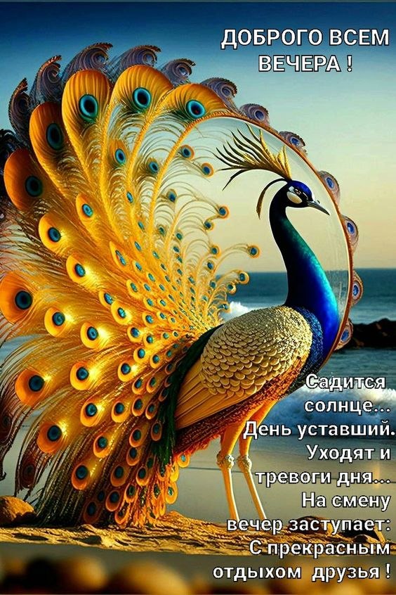 ₪╬═►  ||  ||  ◄═╬₪ - 9  2024  11:44