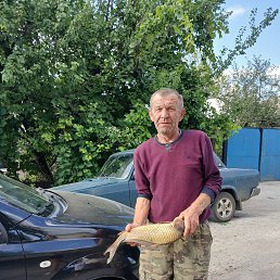 ����, 62 ����, ������