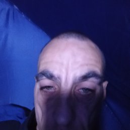 ���� �������, ���������, 40 ��� - ��������� 21 ������� 2024