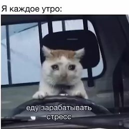 ������, ������, 37 ���