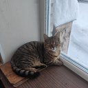 ���� ������ ��������, ��������, 47 ��� - ��������� 26 ������ 2026