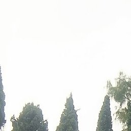 ��������, �����������, 22 ����