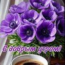 ���� �������@, �������� - ��������� 8 ������� 2026 � ������ ������ ��������