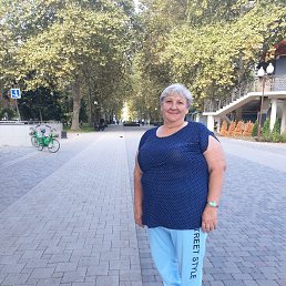 ���� ���������, ���������, 66 ��� - ��������� 15 ������ 2026