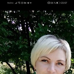 �����, 42 ����, �������